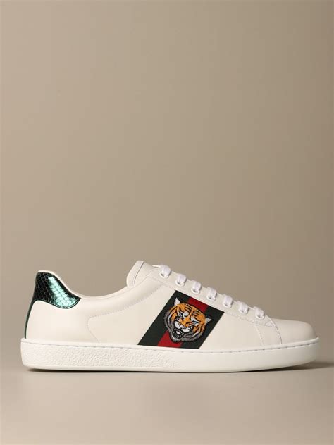 scarpe gucci uomo con tigre|gucci sneaker bianco.